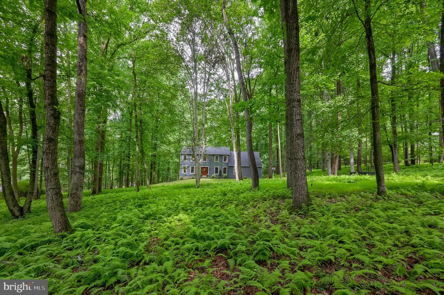 1231 Ash Lane photo 64