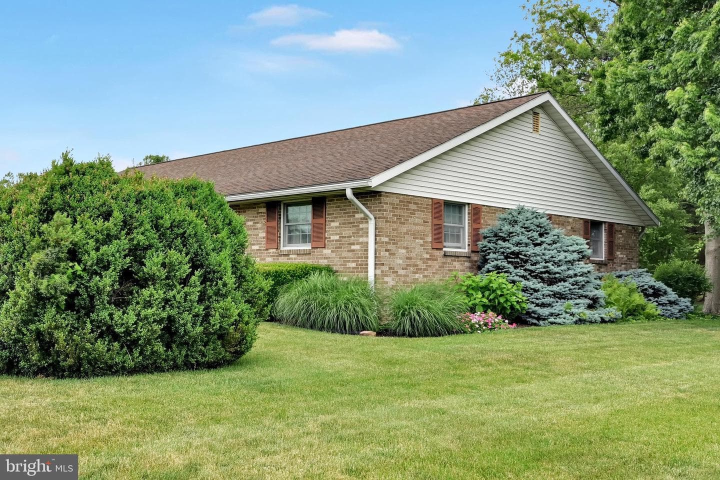 205 Fox Road photo 17