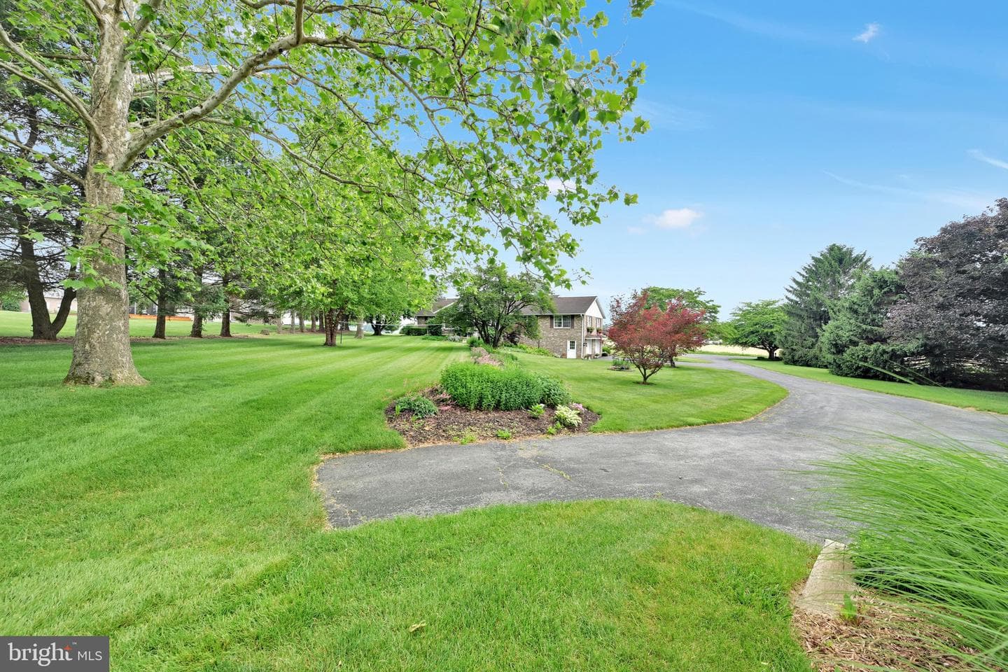 205 Fox Road photo 63