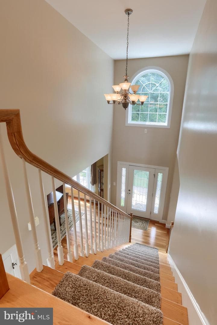 304 Iron Valley Drive photo 22
