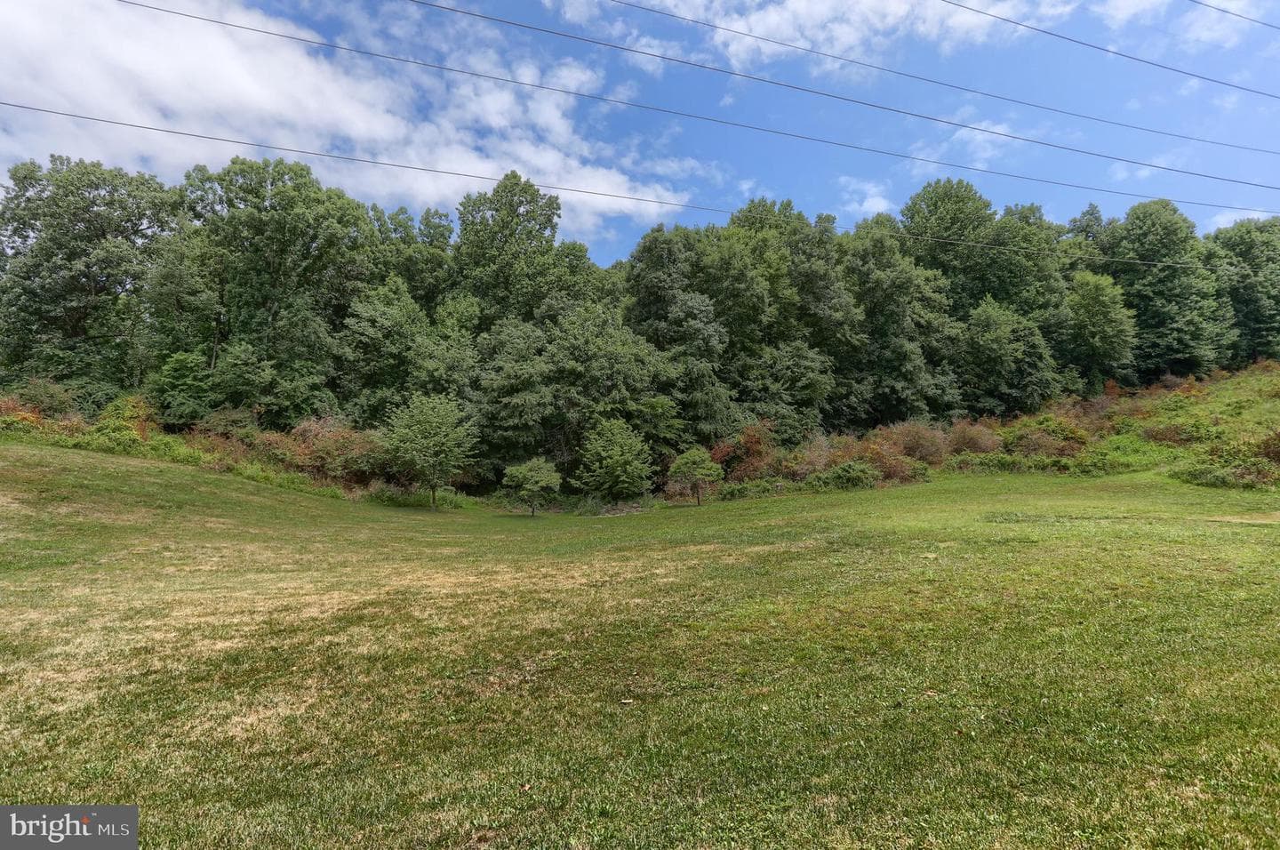 304 Iron Valley Drive photo 47