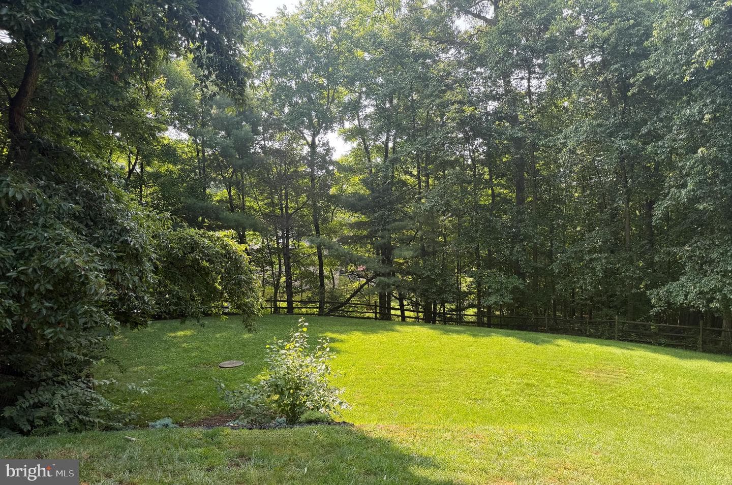 1701 Hickory Drive photo 8