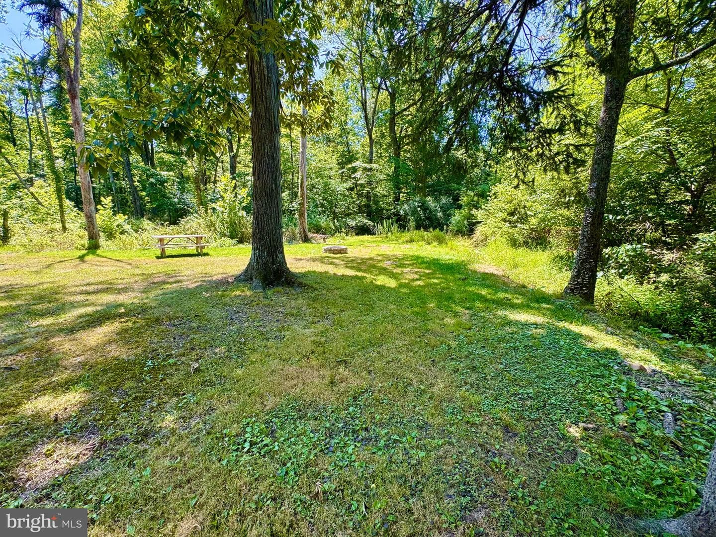24 Aster Lane photo 18