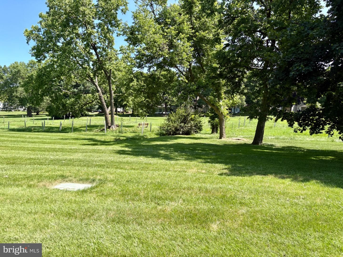 1520 Cambridge Court photo 3