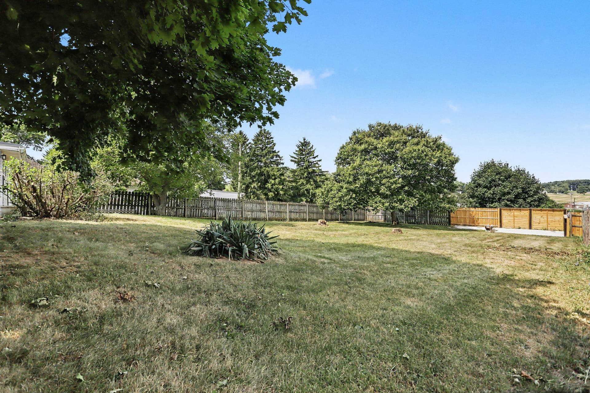 1729 N 7th Street photo 35