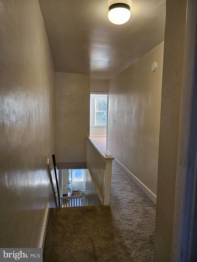 757 Locust Street photo 15