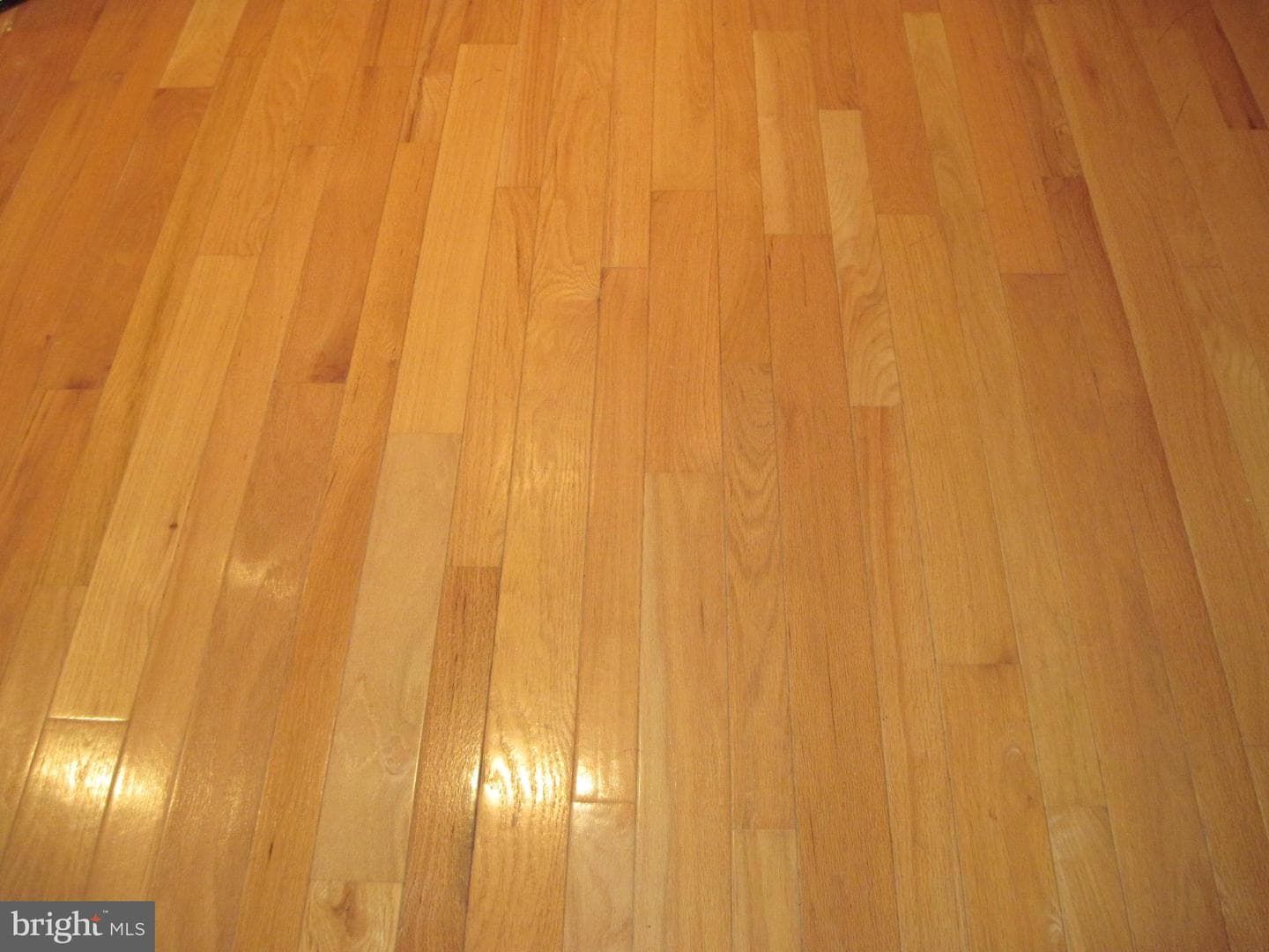 164 Wilson Drive photo 11