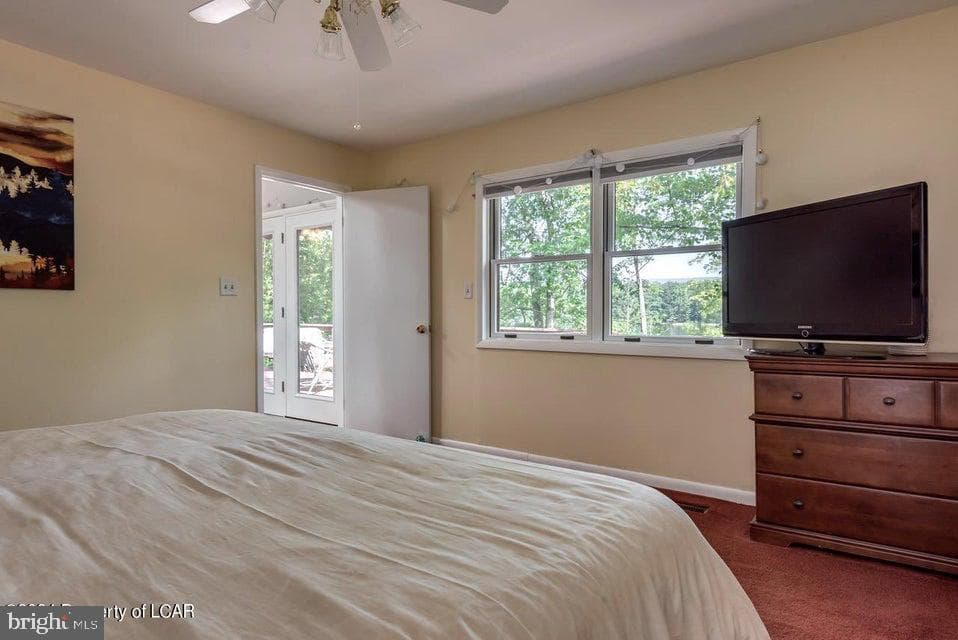 228 Trapper Springs Lane photo 19