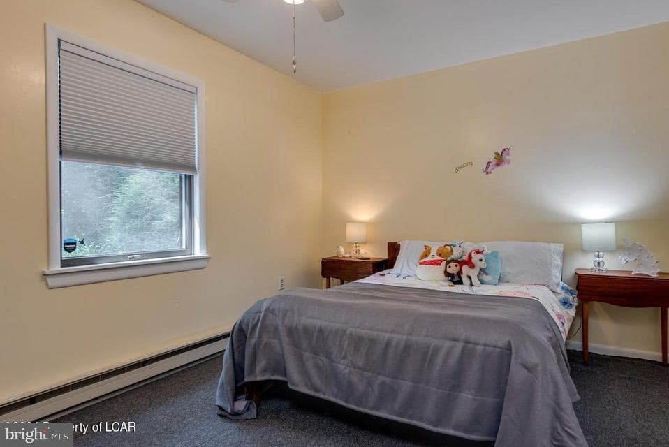 228 Trapper Springs Lane photo 22