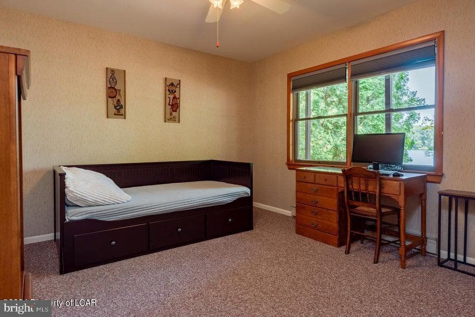228 Trapper Springs Lane photo 34
