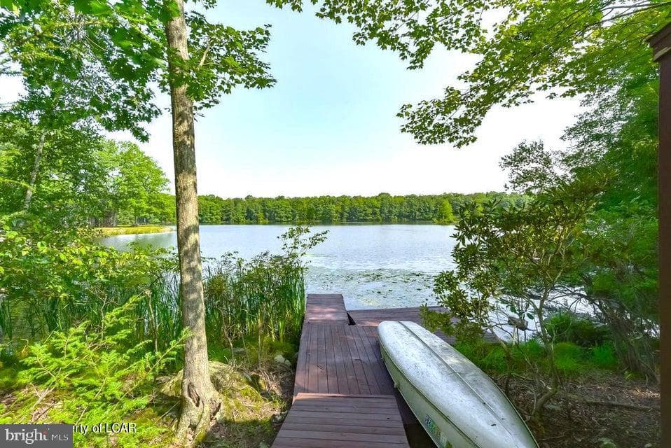 228 Trapper Springs Lane photo 48