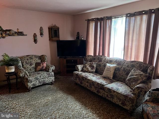 124 Palance Avenue photo 4