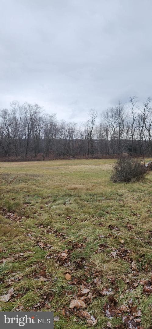 818 Lattimer Road photo 13