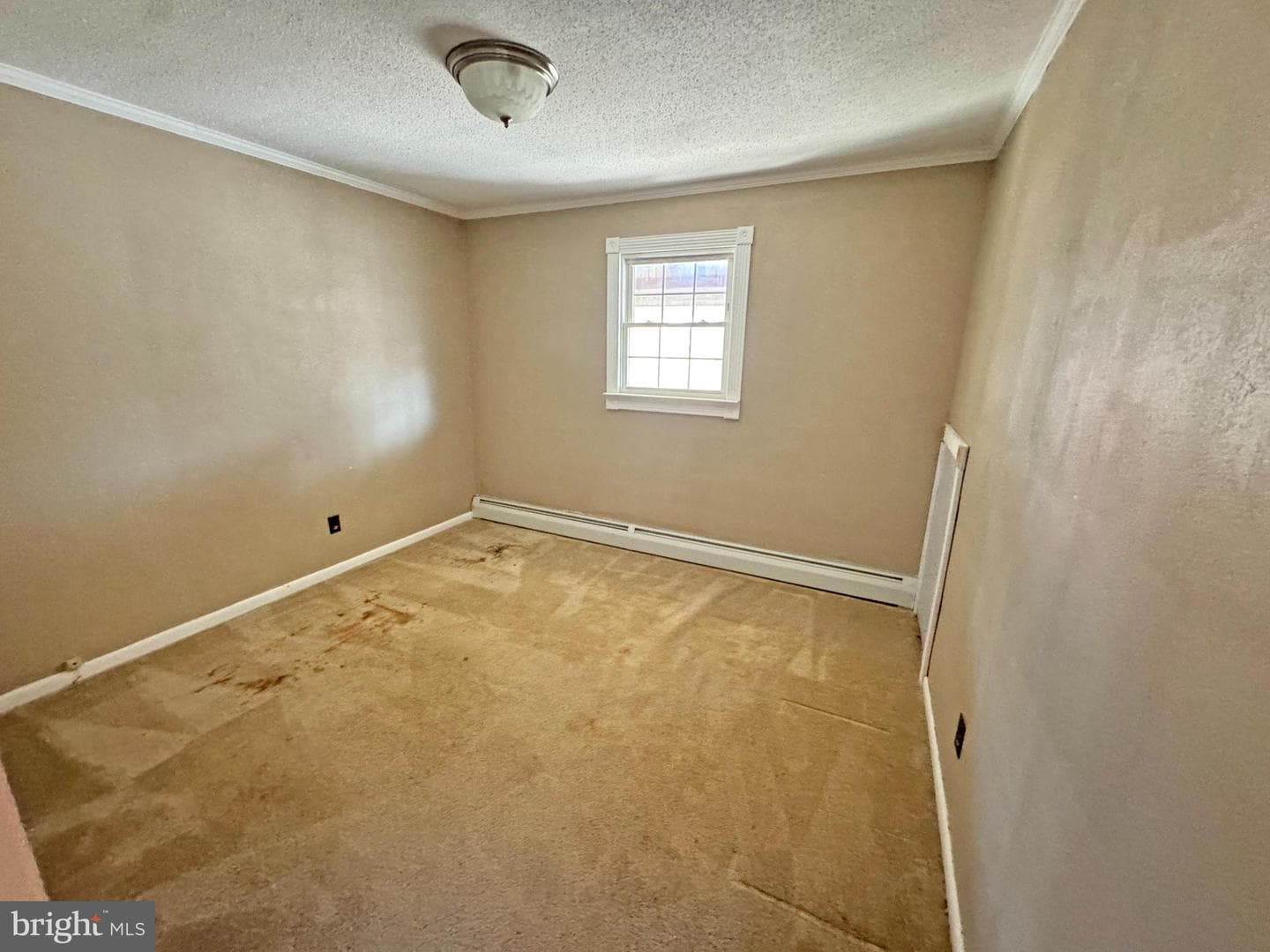 50 Red Maple Avenue photo 9