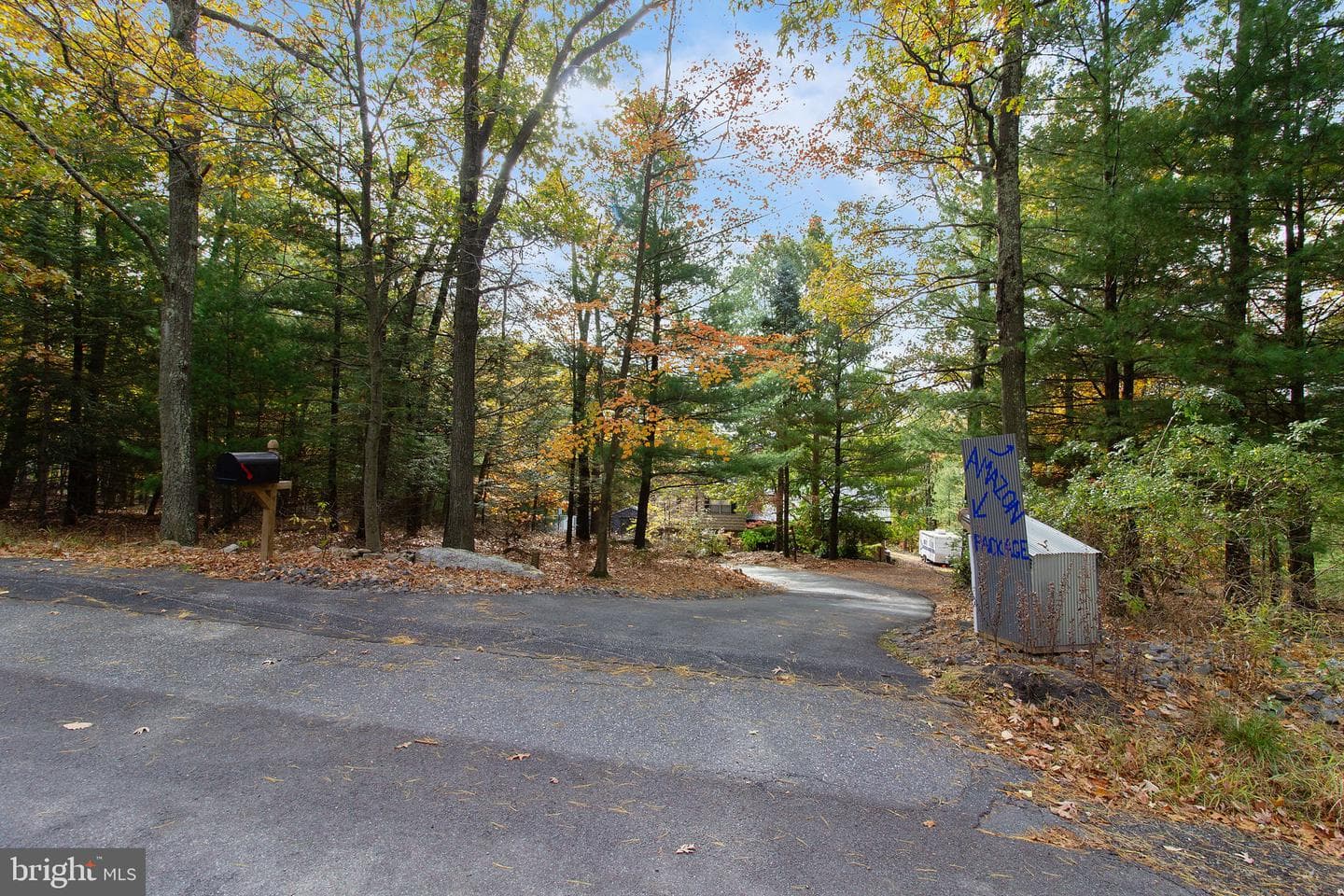 56 Bentwood Road photo 49