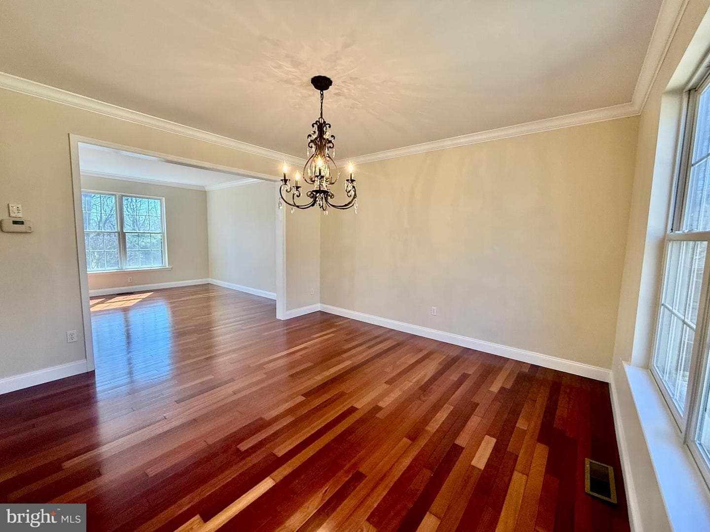 79 Colony Drive photo 20