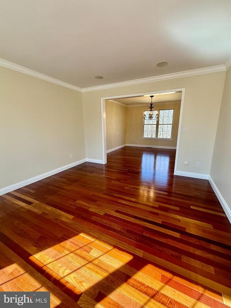 79 Colony Drive photo 22
