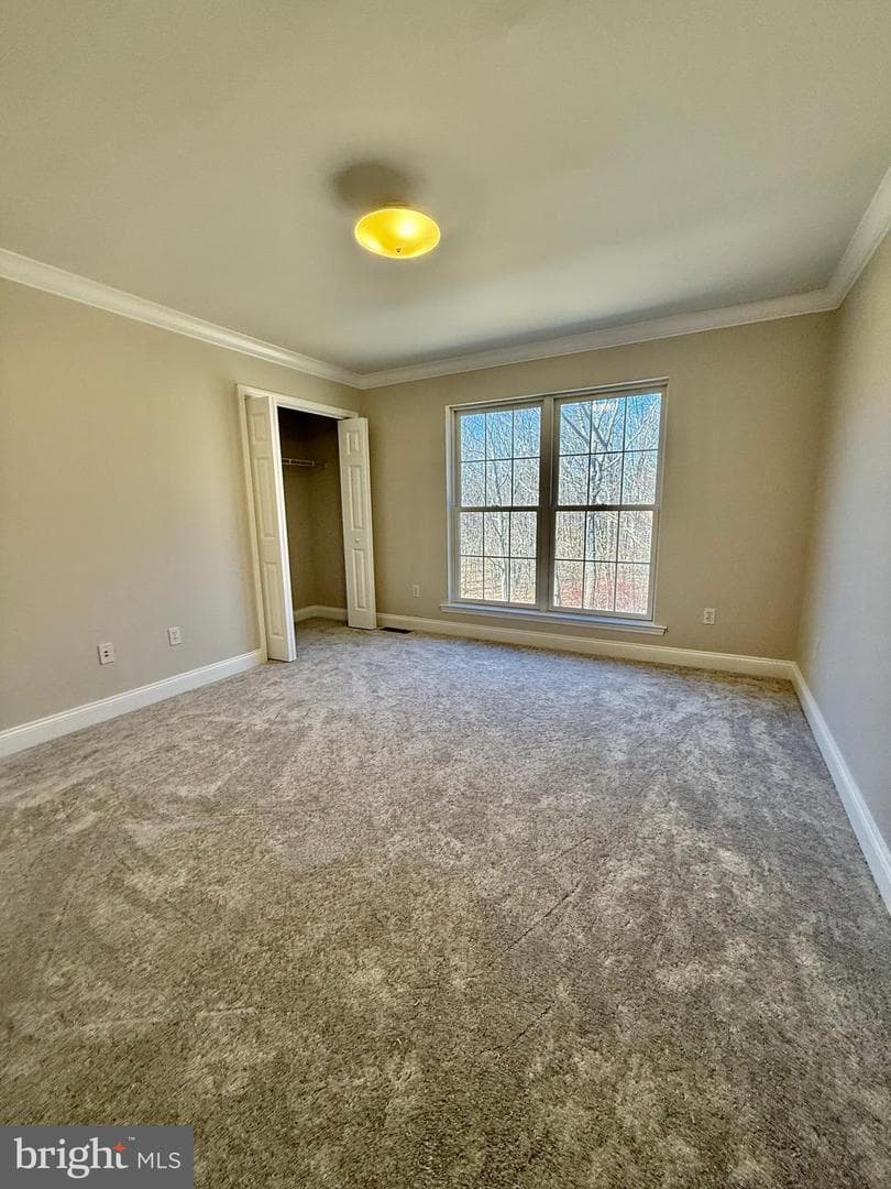79 Colony Drive photo 28