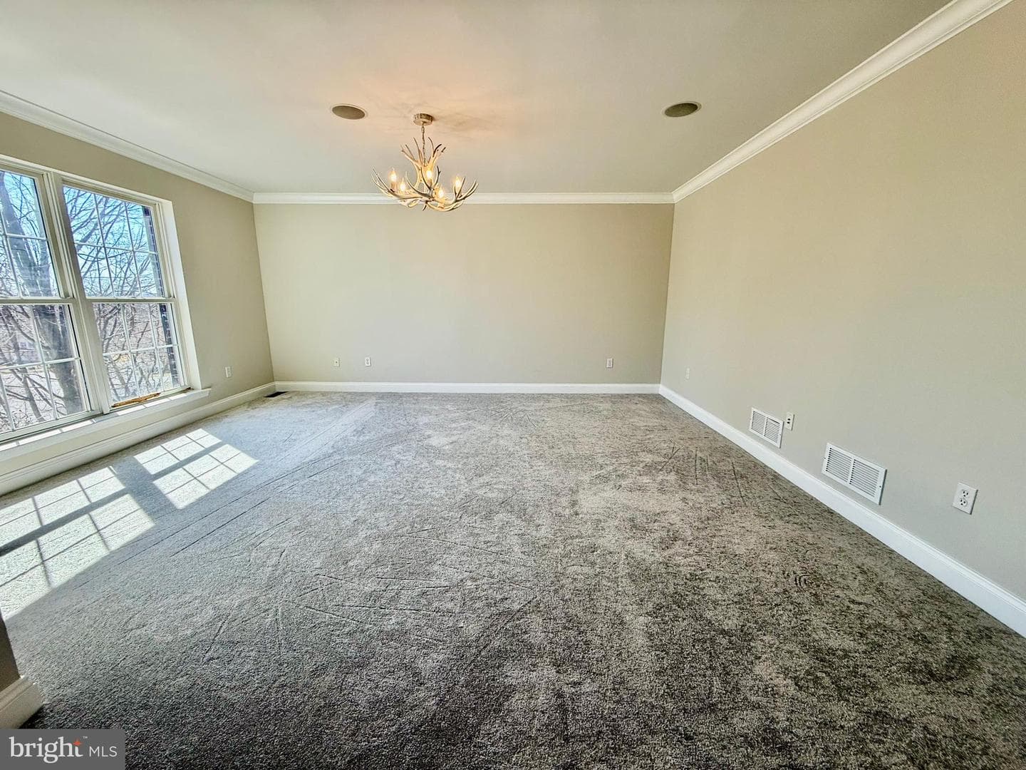 79 Colony Drive photo 33