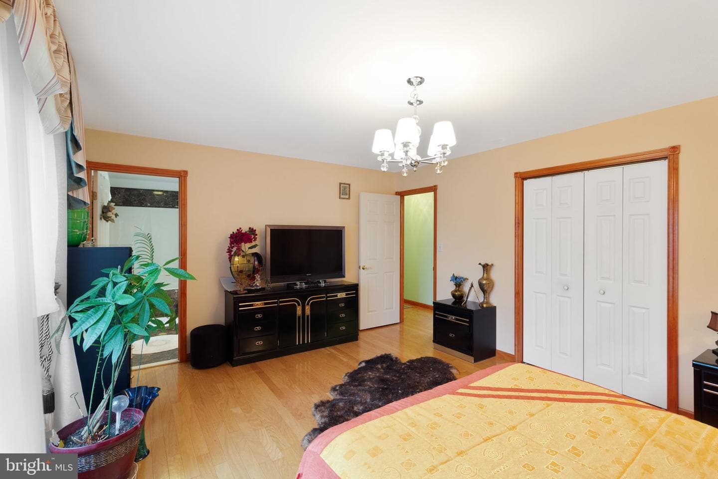 25 Makara Drive photo 29