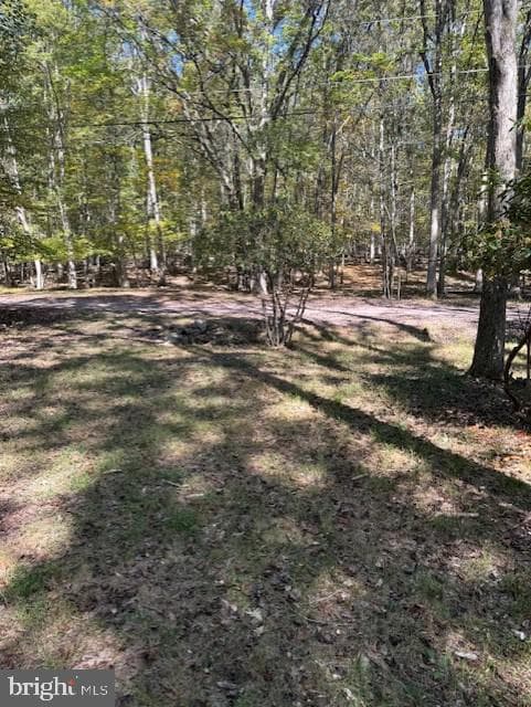29 Brookside Drive photo 31