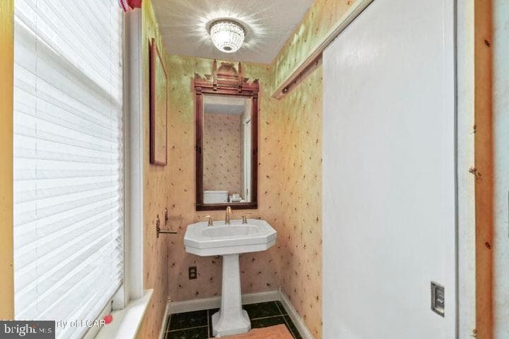 31 Exeter Avenue photo 22
