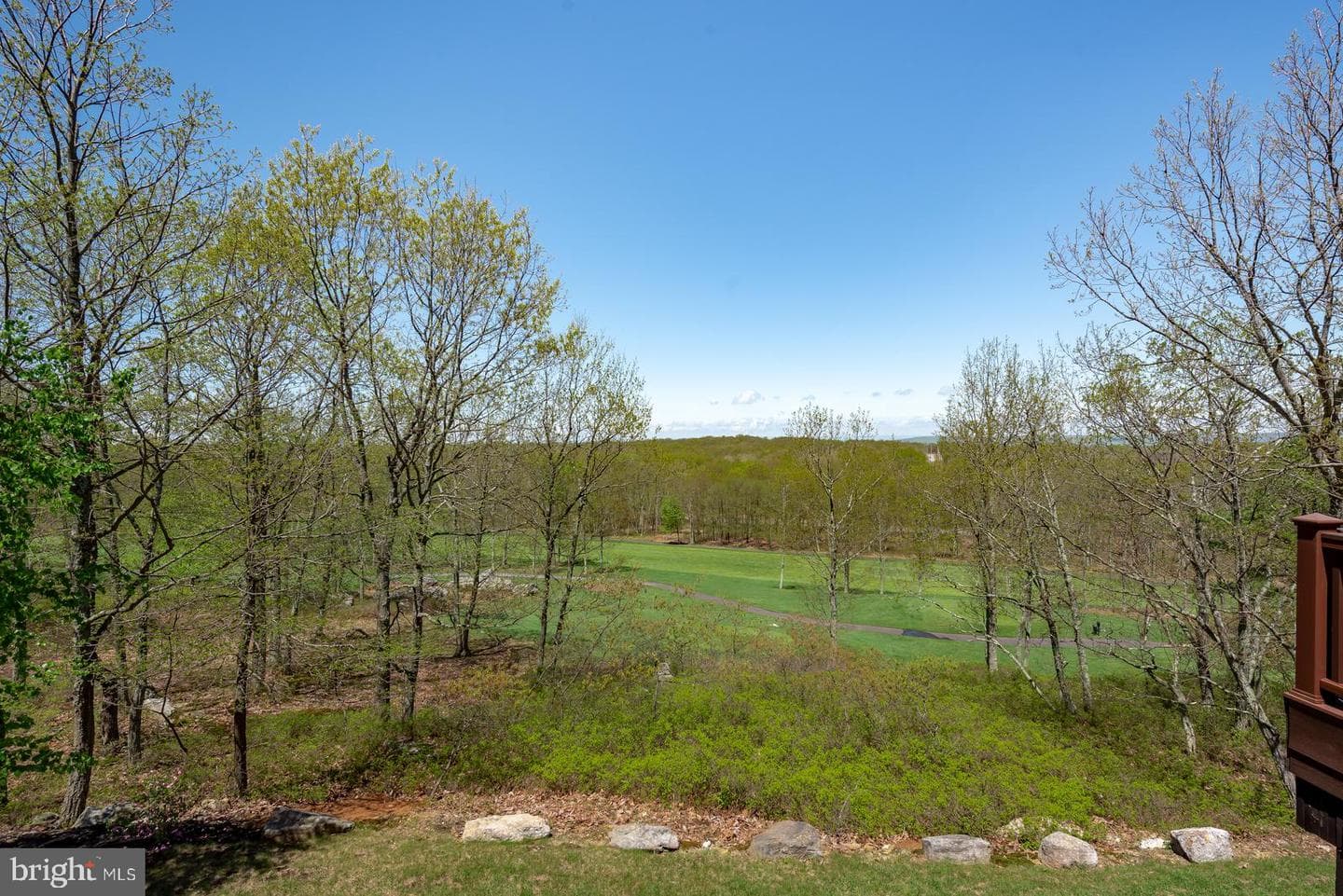 968 Scots Pine Lane photo 8