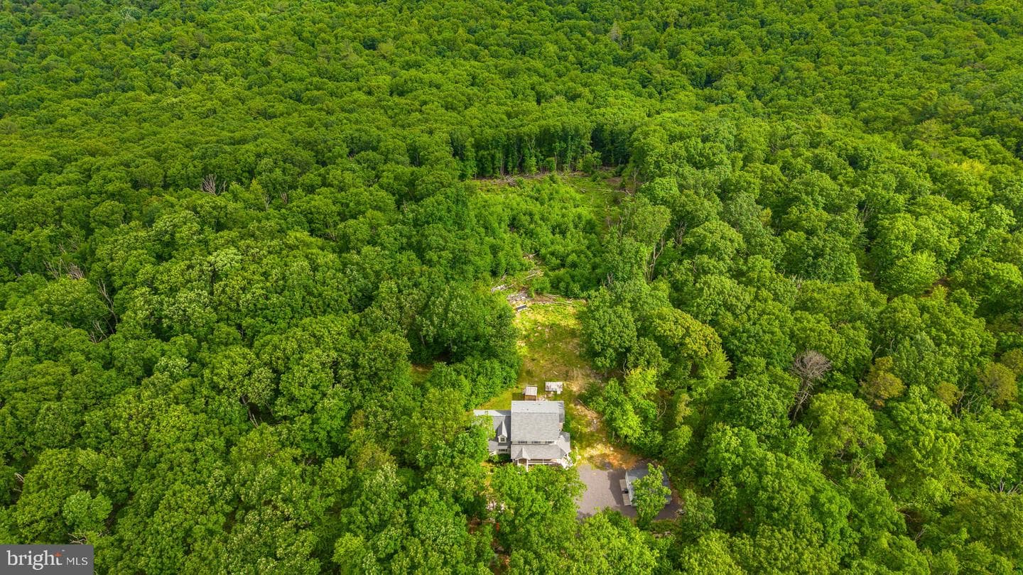 210 White Mountain Lane photo 21