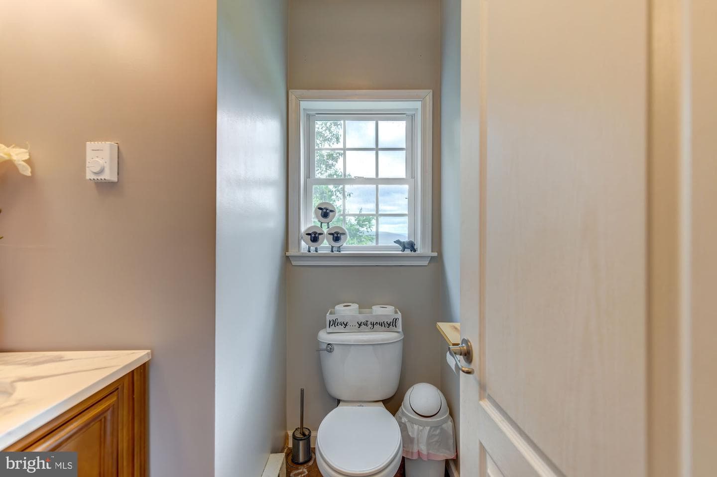 210 White Mountain Lane photo 79