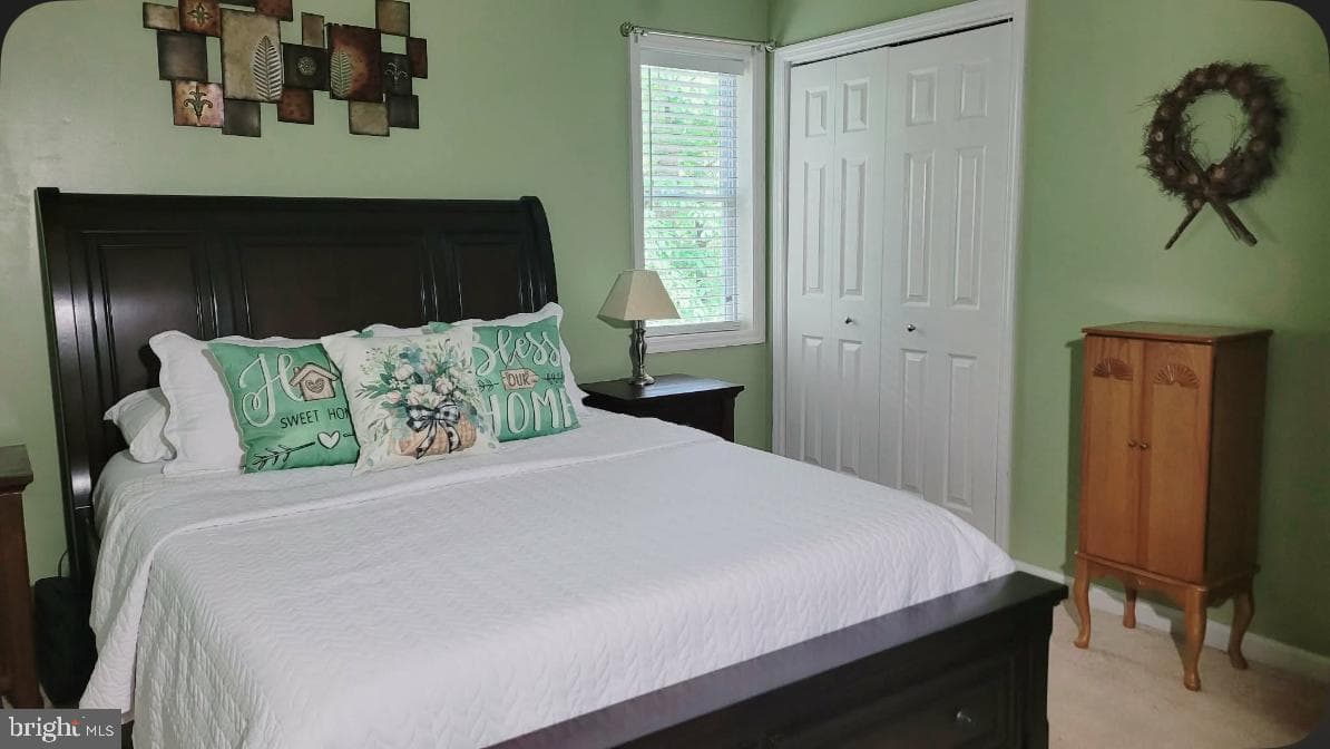 202 Trapper Springs Circle photo 17