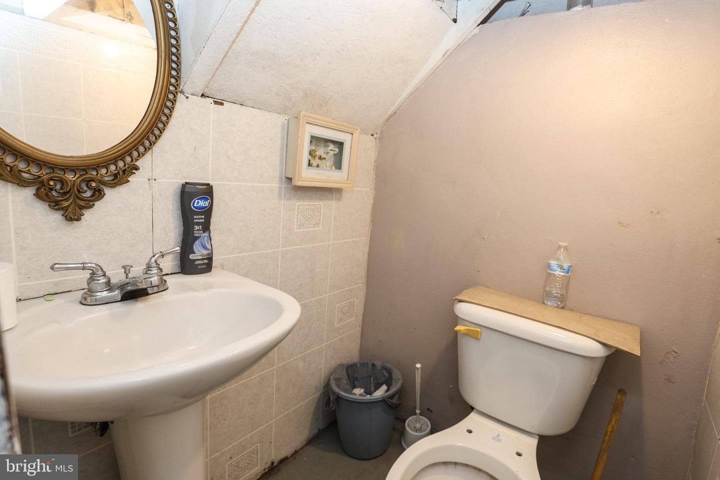 9 Hemlock Street photo 24