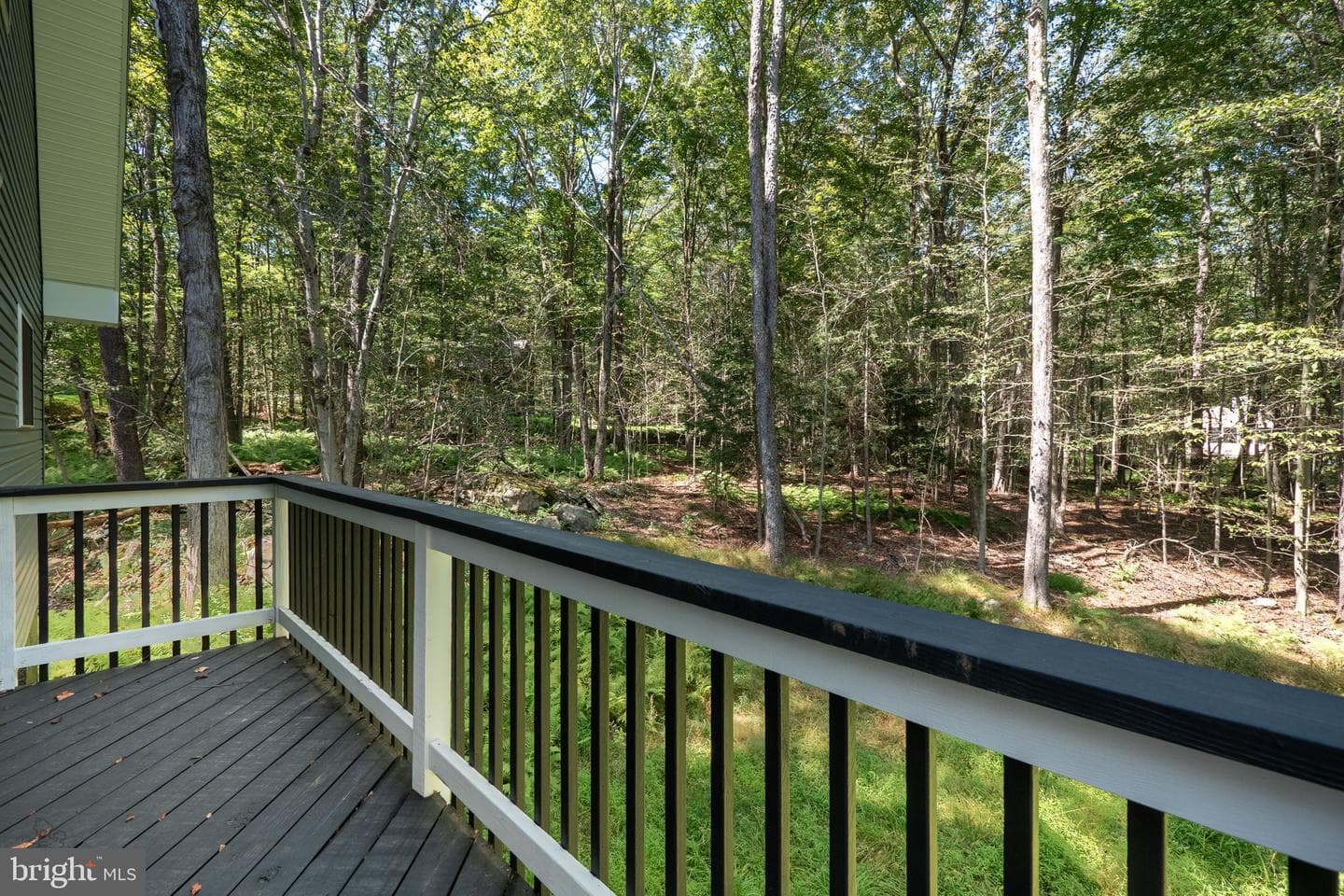 49 W Creek View Drive photo 15