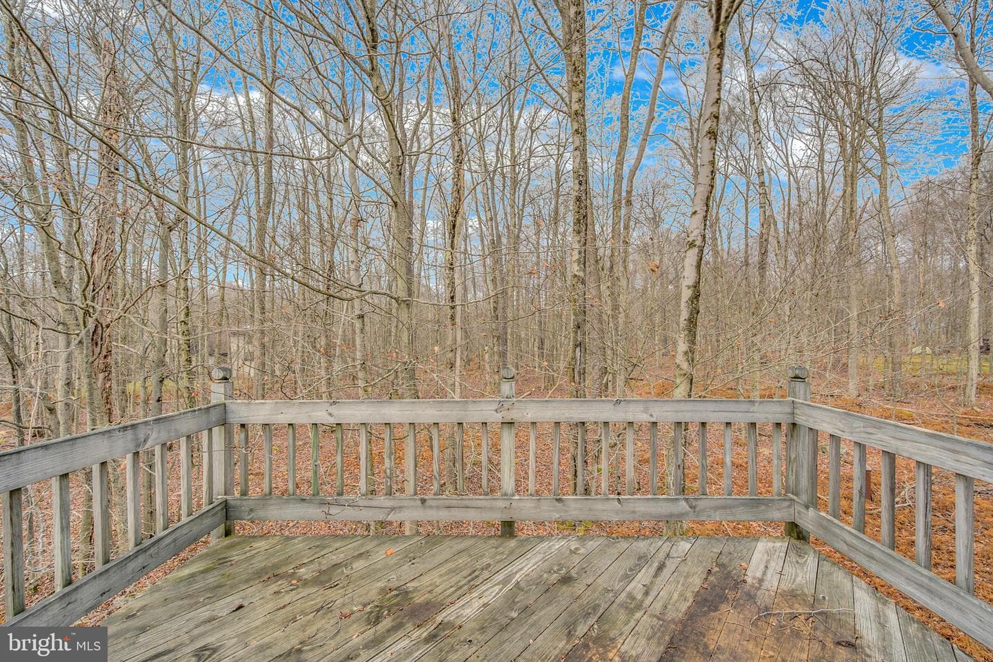 2315 Lc Larsen Drive #87 photo 32