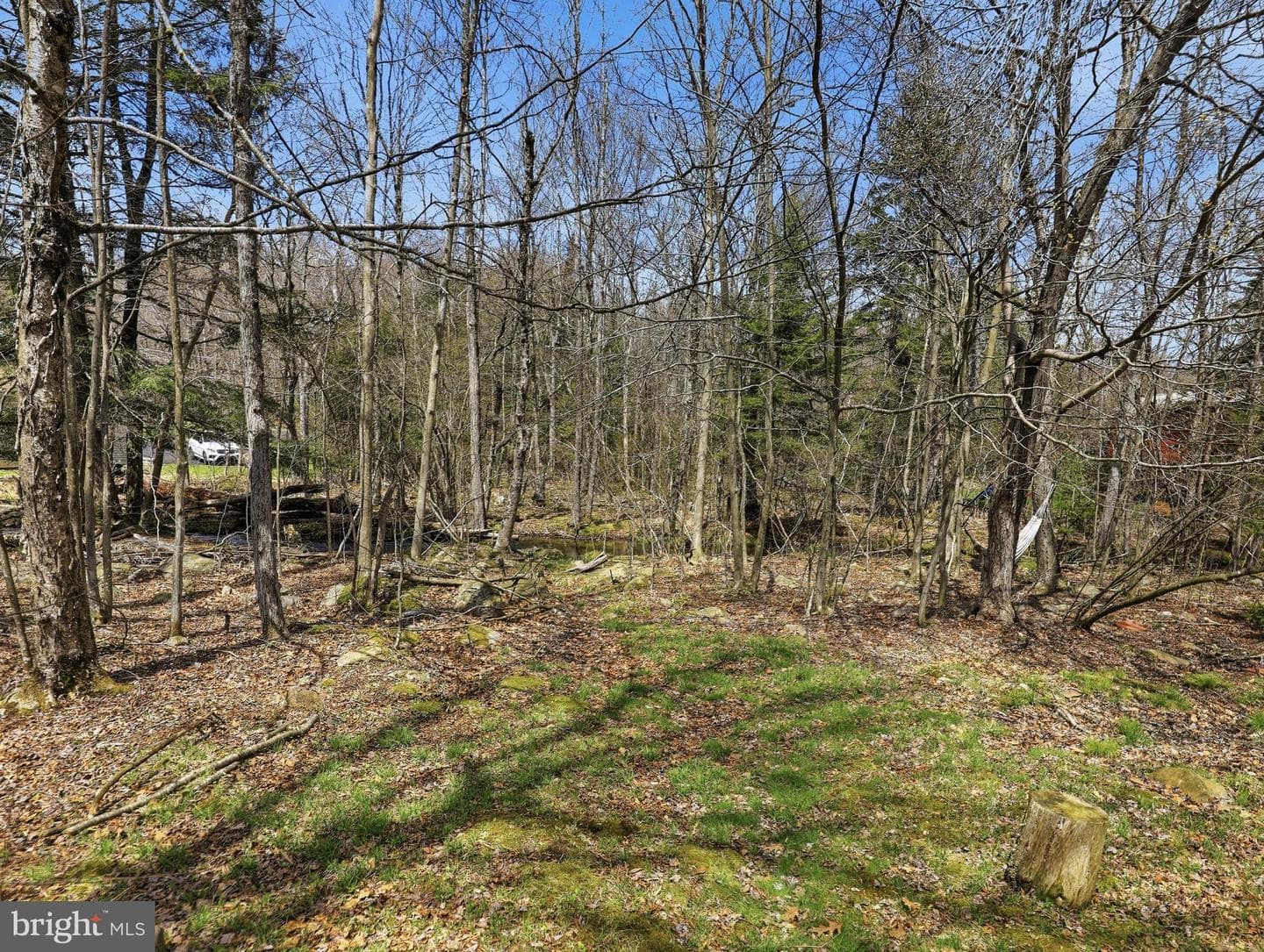 61 Floral Drive photo 34