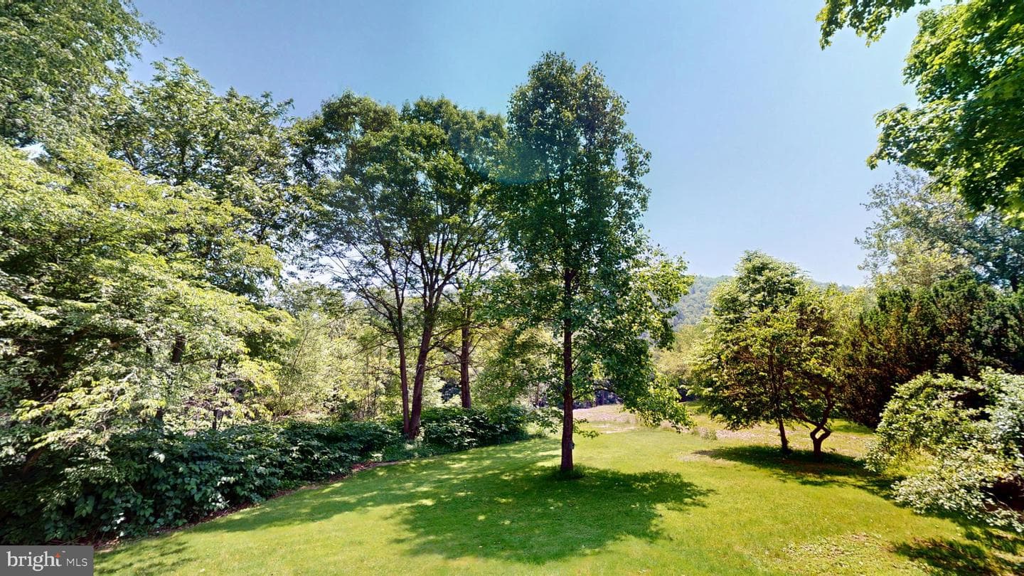48-50 Trout Run Mountain Road photo 10