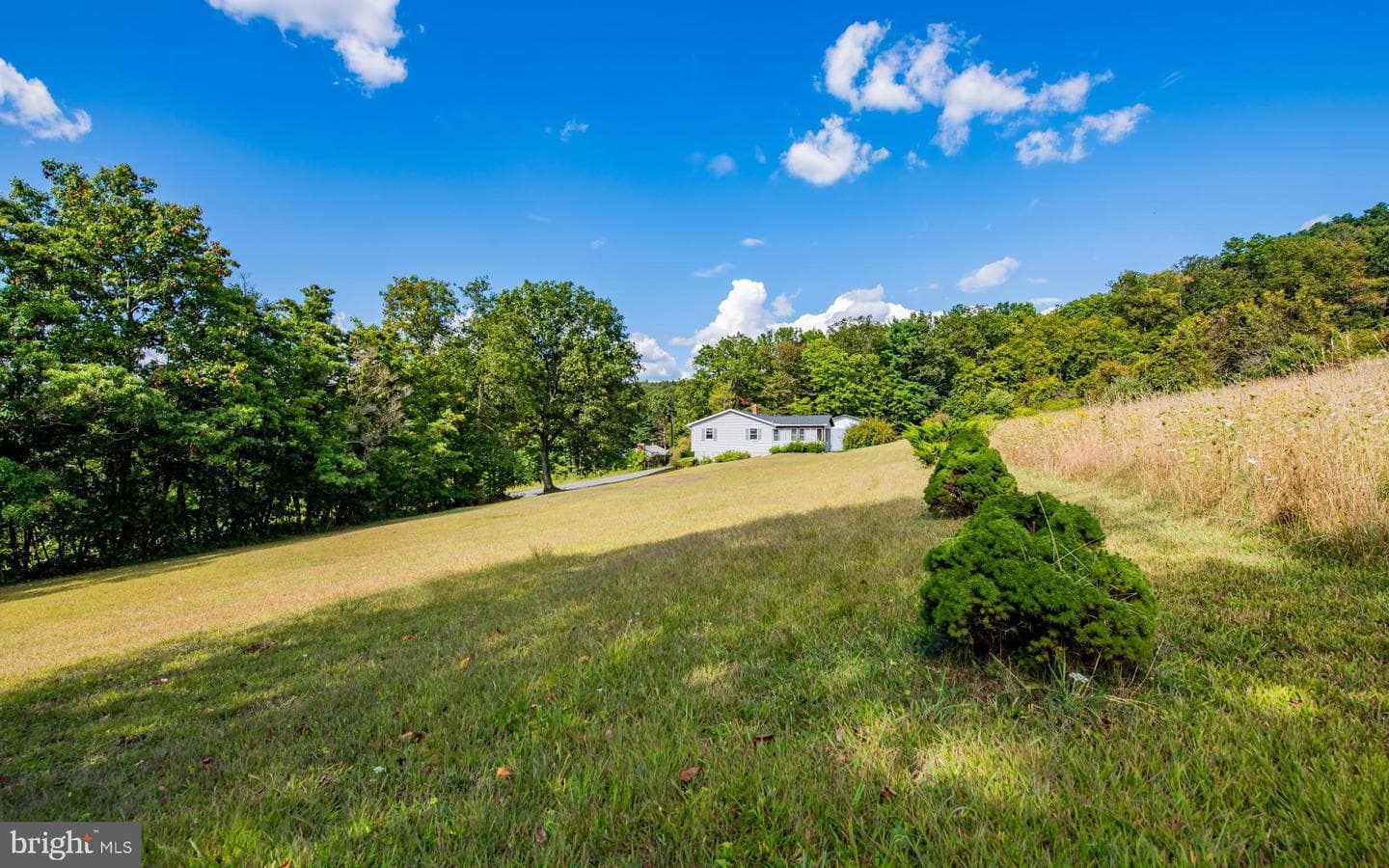 1520 Lorson Road photo 18