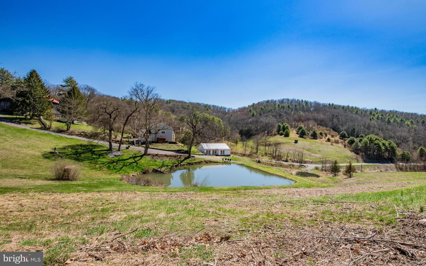718 Turkey Path Road photo 10