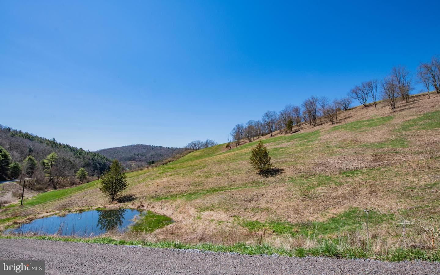 718 Turkey Path Road photo 11