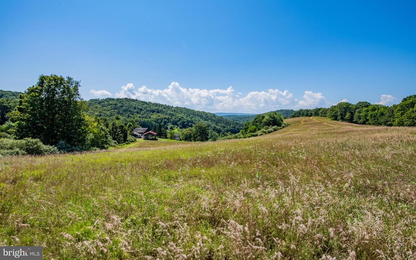 718 Turkey Path Road photo 14