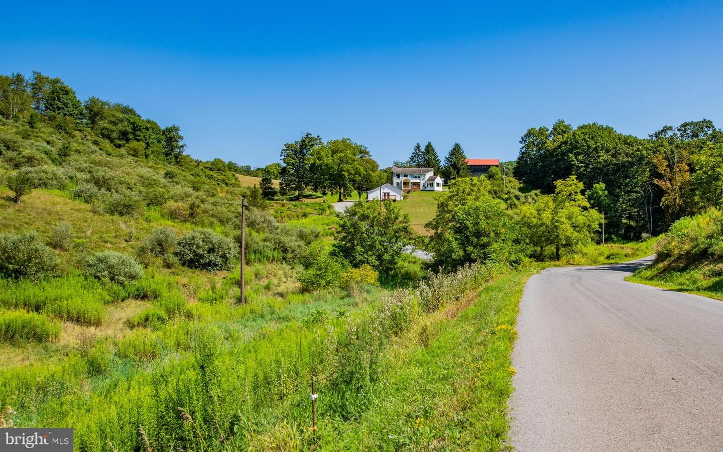718 Turkey Path Road photo 4