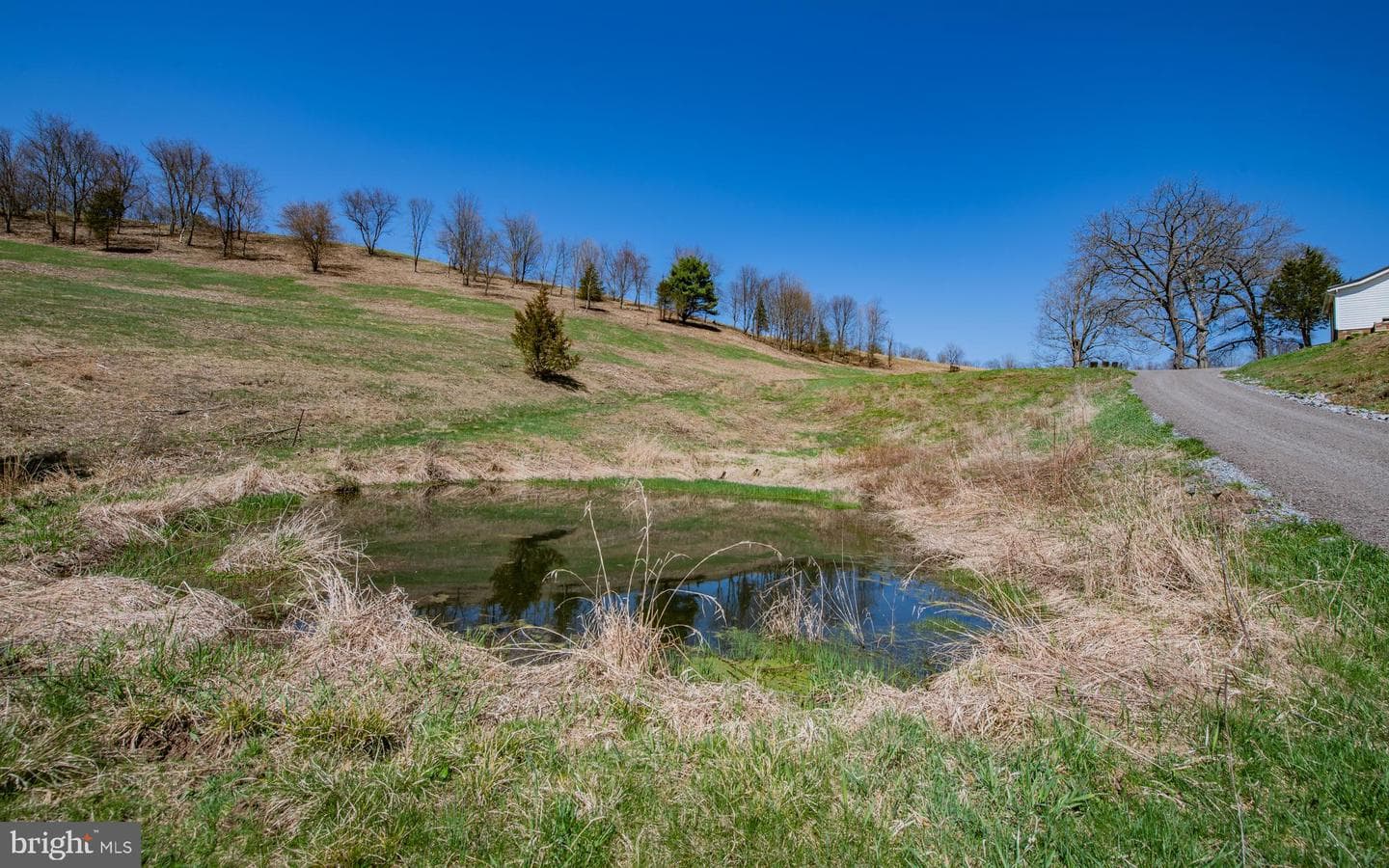 718 Turkey Path Road photo 5