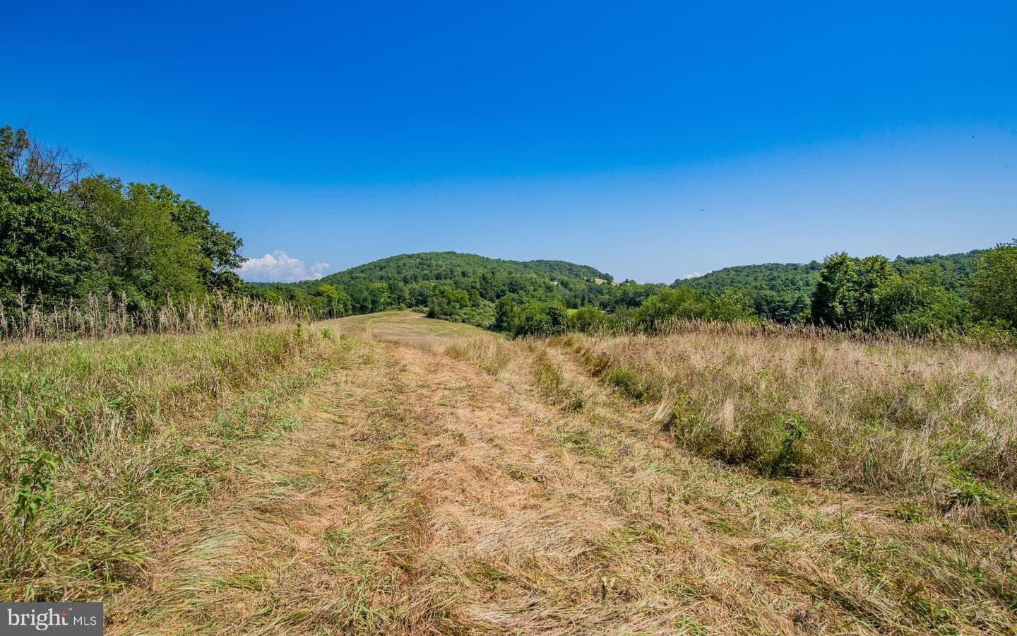 718 Turkey Path Road photo 61