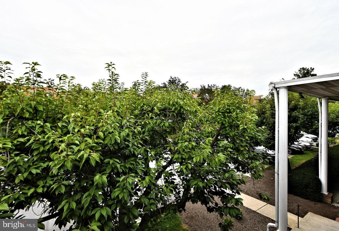 108 Woodstream Drive #condo 108 photo 37