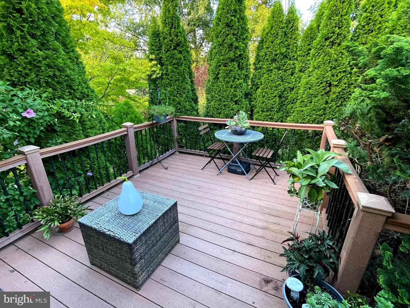 509 Cowpath Road photo 46