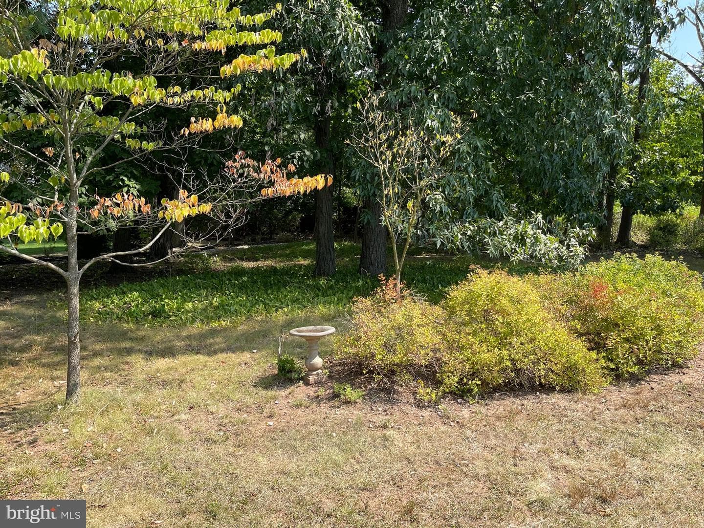 509 Cowpath Road photo 51