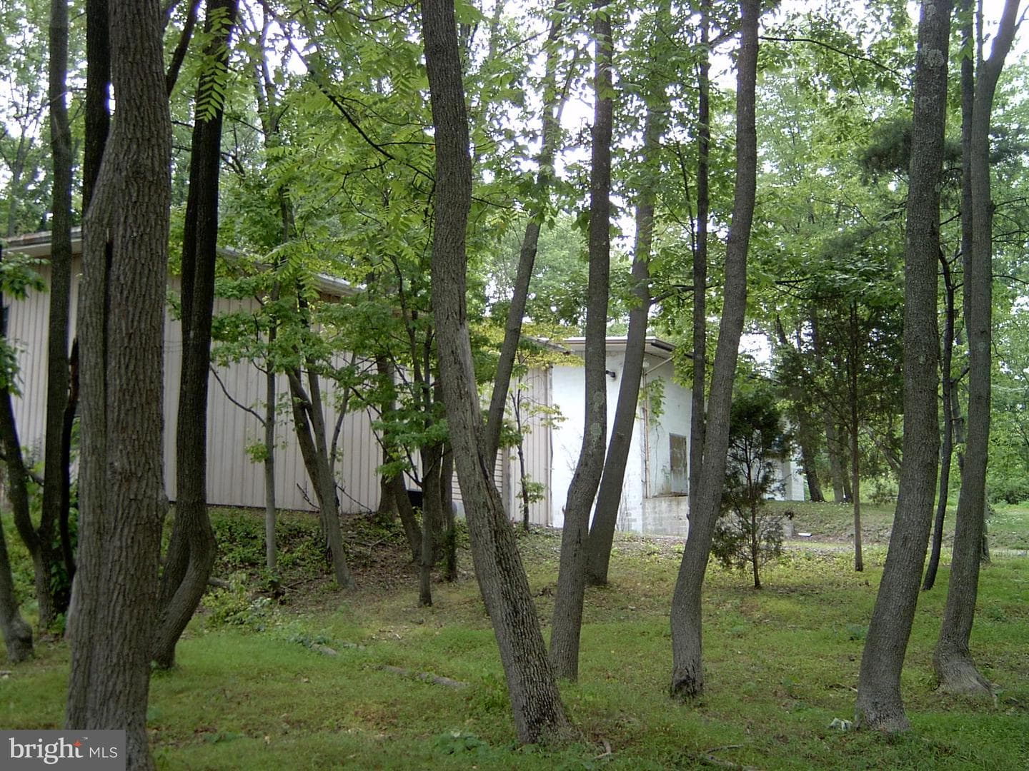 1001 Swinehart Road photo 11