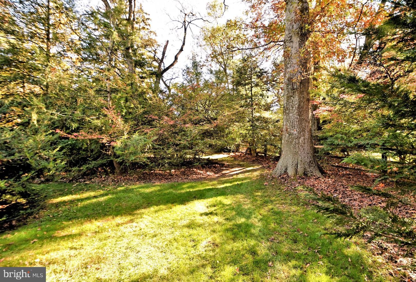 416 Norristown Road photo 43