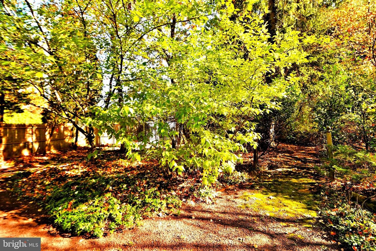 416 Norristown Road photo 84