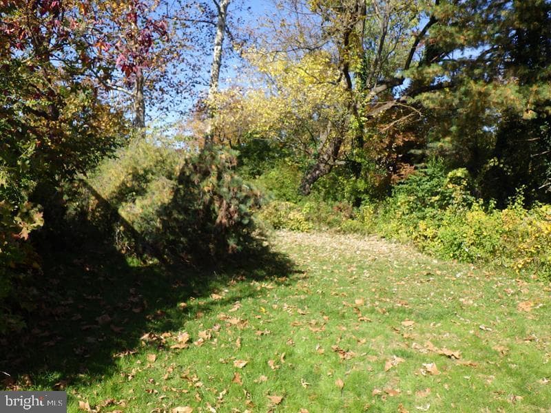 320 Francis Avenue photo 6