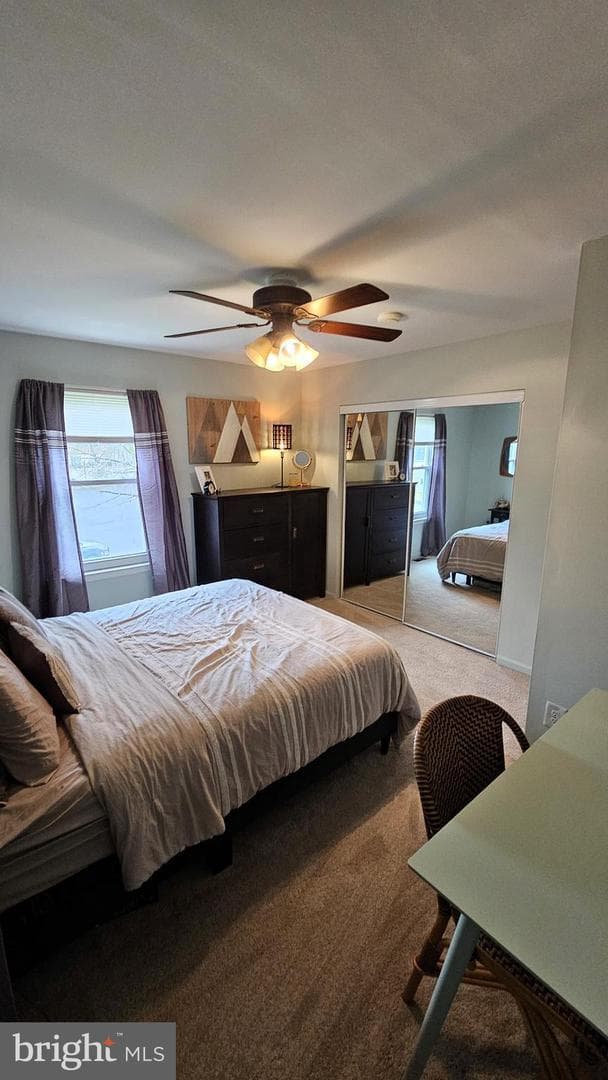 118 Stephanie Lane photo 21
